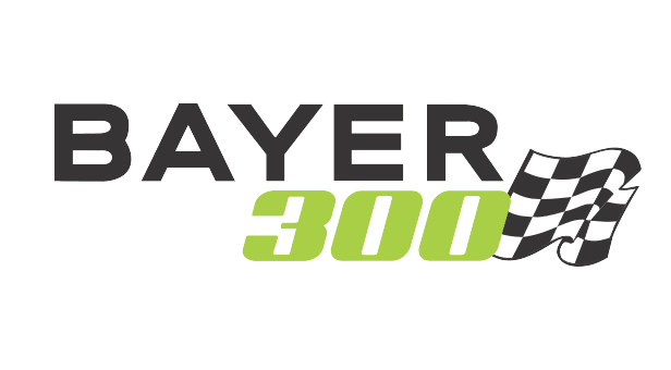 Visit Entry List: BAYER 300 page