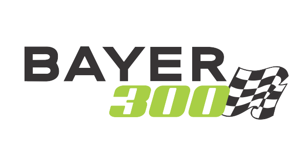 Visit Entry List: Bayer 300 page